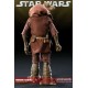 Star Wars Action Figure Momaw Nadon (Hammerhead)